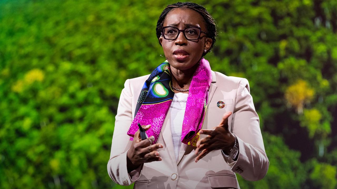 The African swamp protecting Earth's environment | Vera Songwe