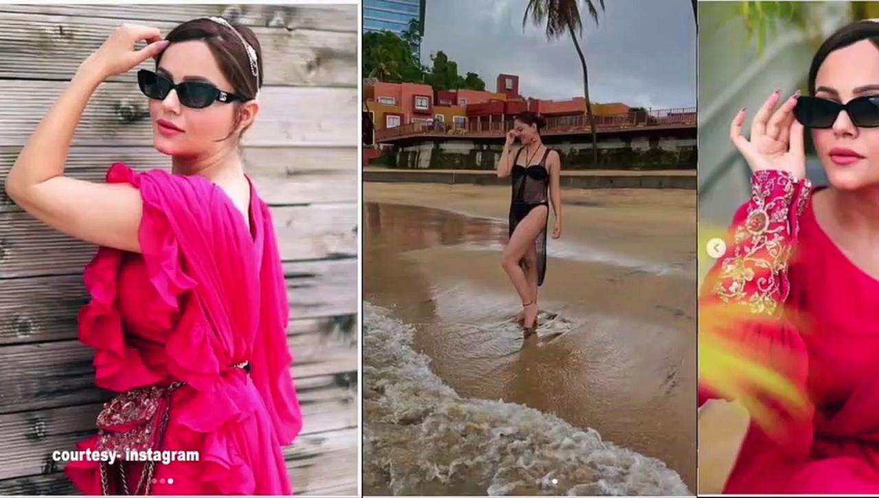 Rubina Dilaik sets the temperature soaring in hot pictures