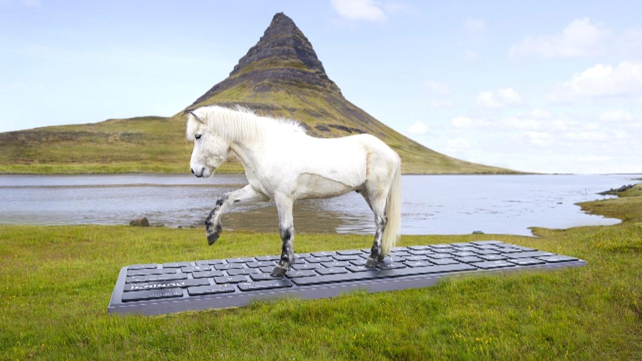 Iceland trains horses to reply to work emails while vacationers relax