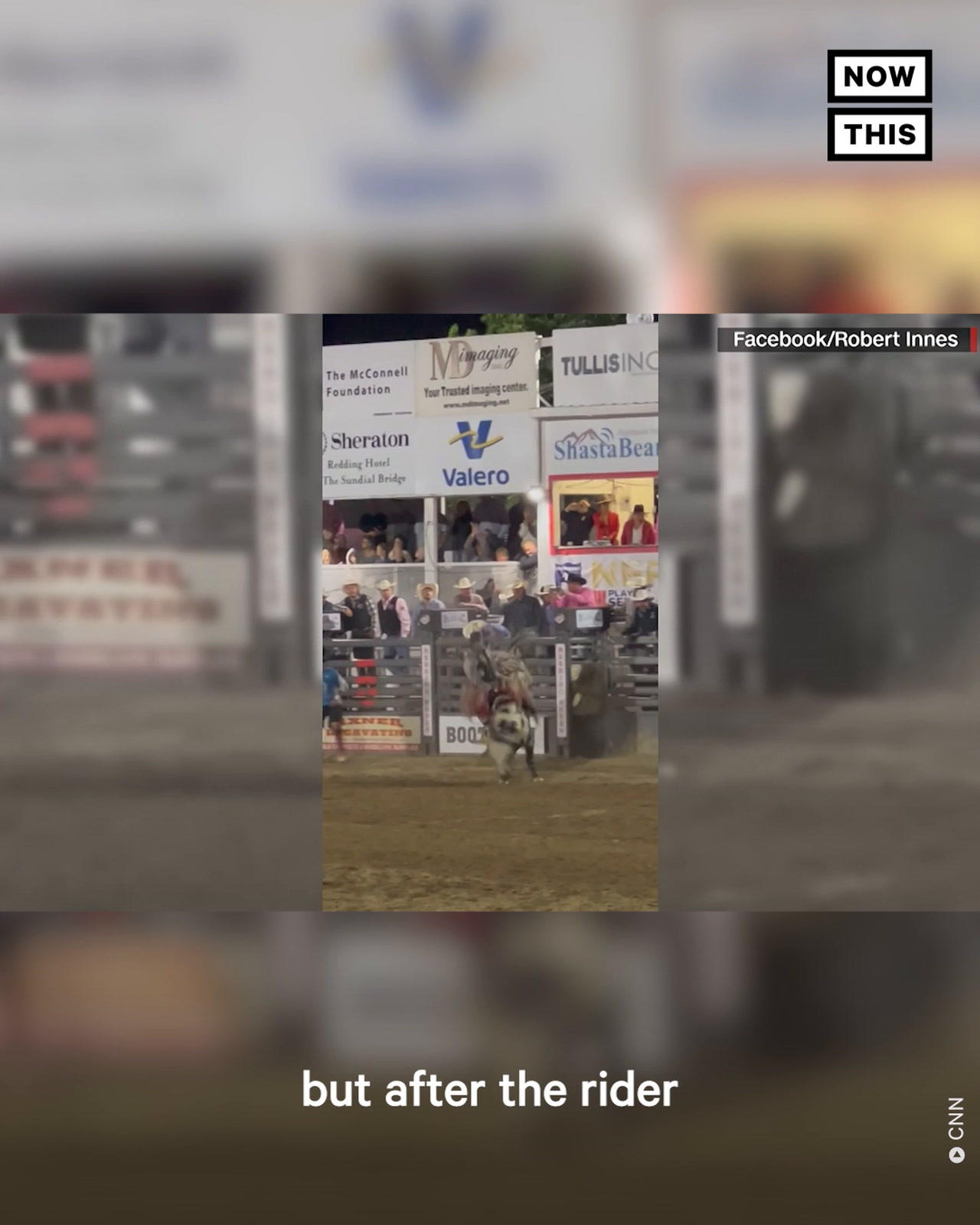 Rodeo Bull Jumps Fence & Escapes After Bucking Rider