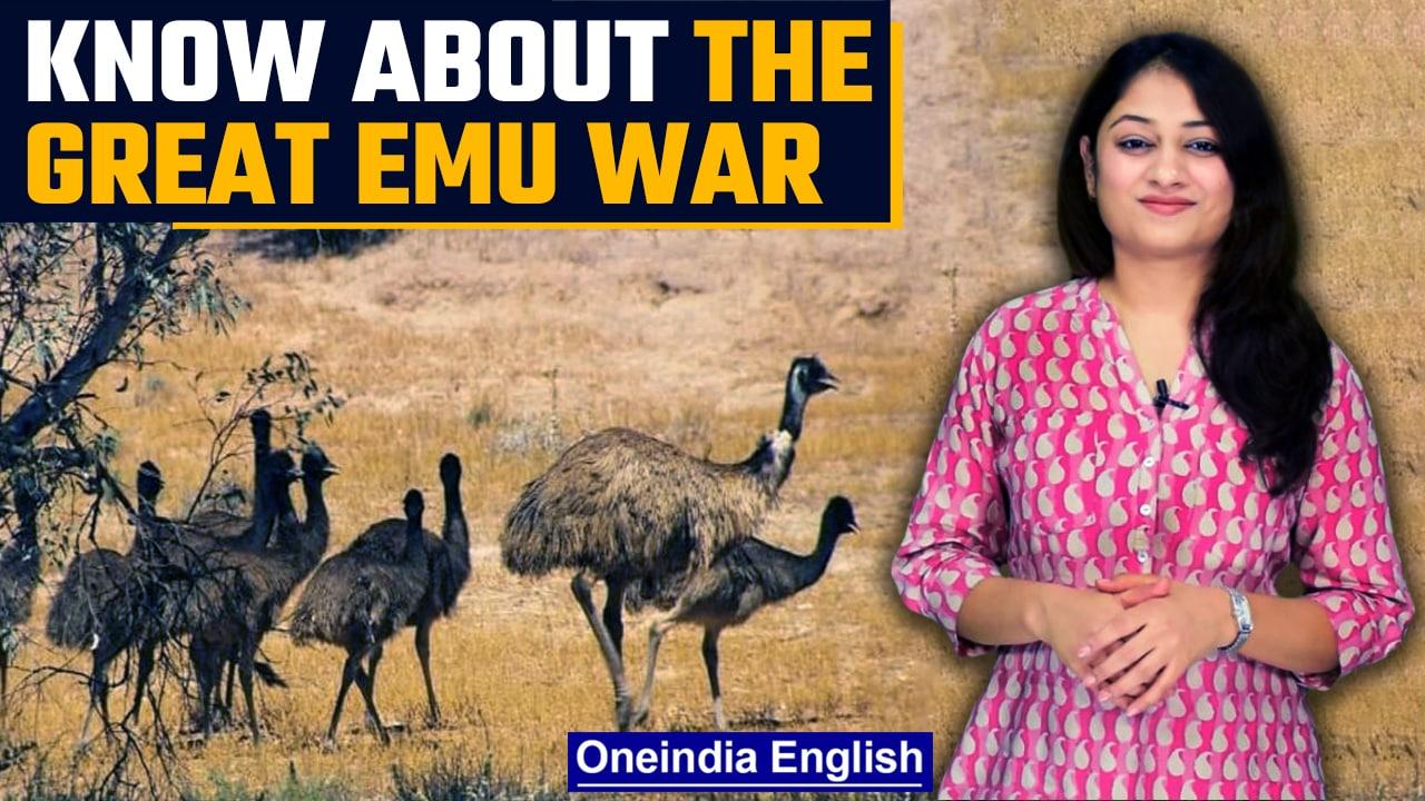 The Great Emu War | Australia | Explainer Video | Oneindia News