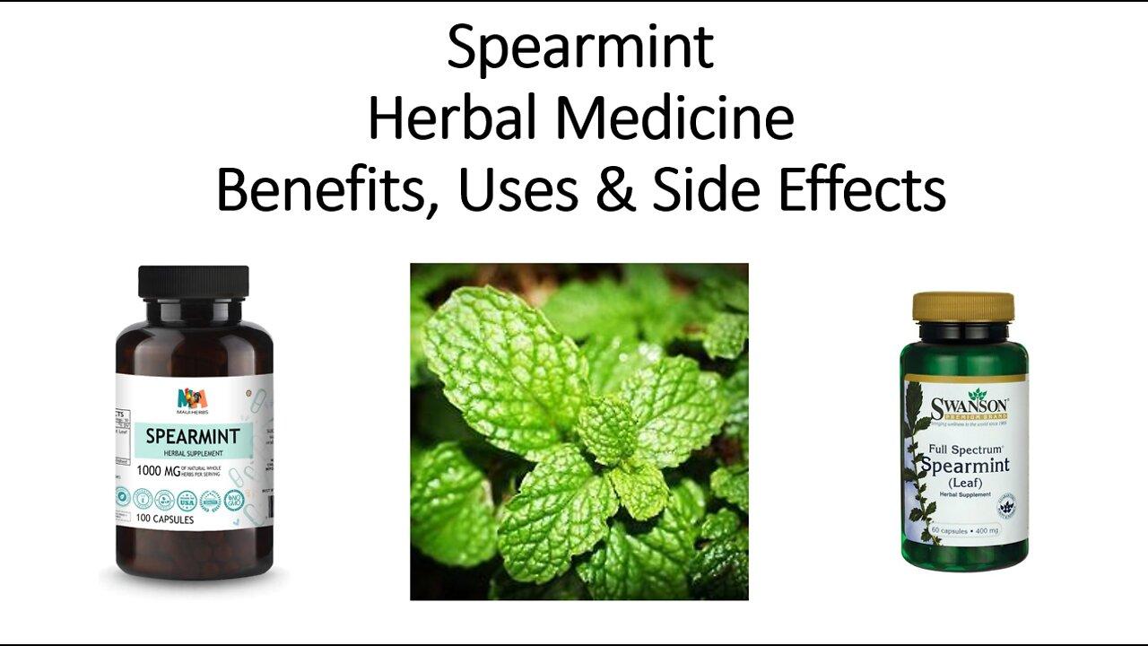 Spearmint   Herbal Medicine   Benefits, Uses & Side Effects