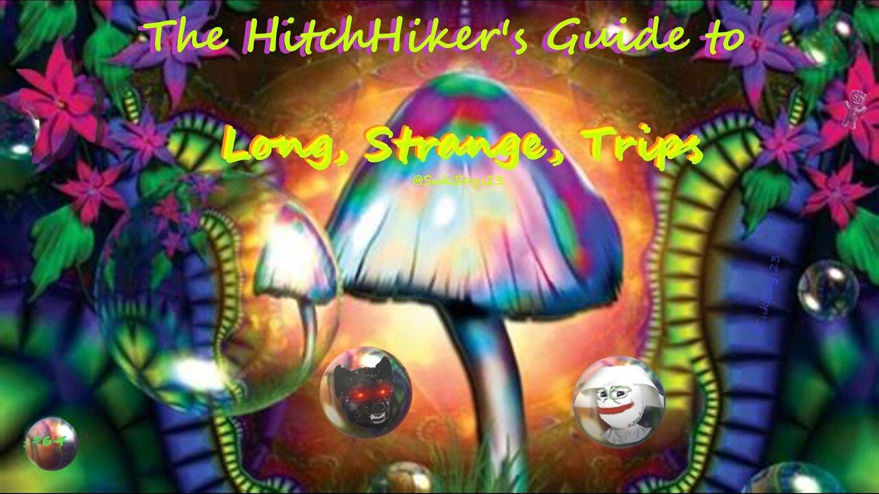 #64 The Hitchhiker's Guide to LOng, Strange Trips