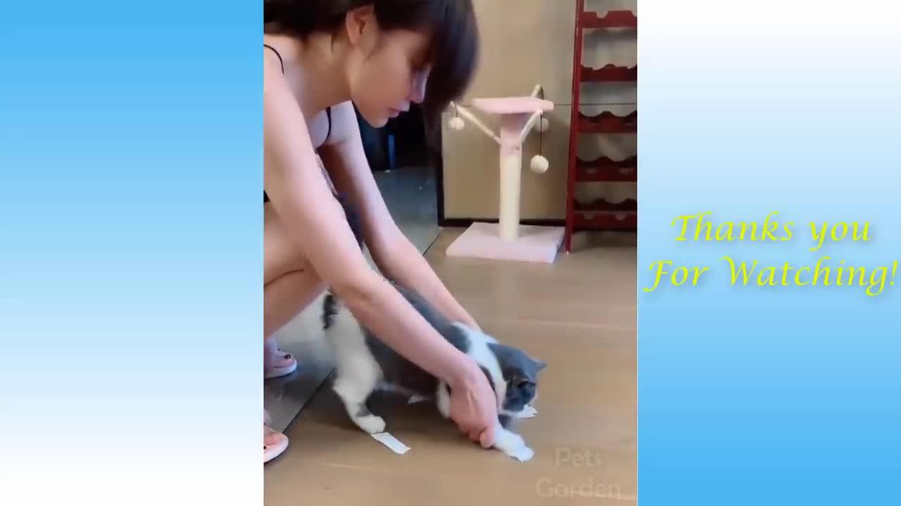 Funny and Adorable Cats And Owners Are The Best Friends