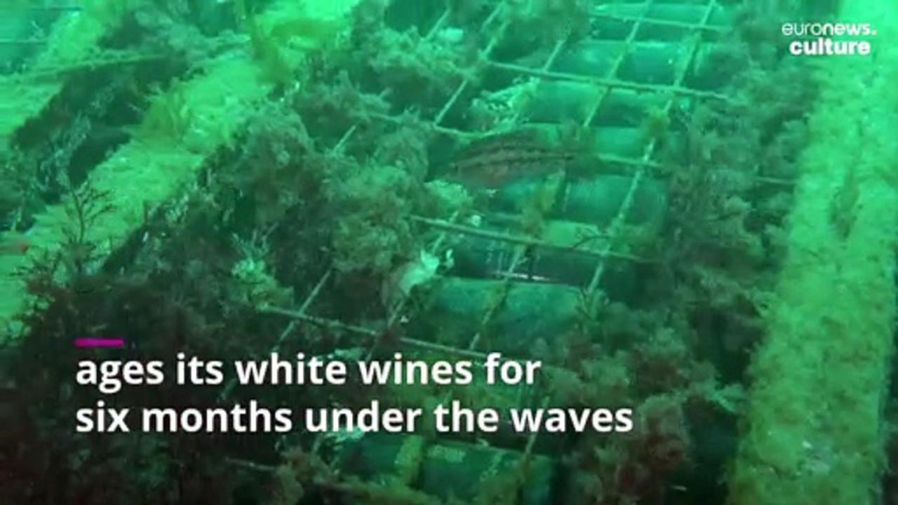 Buried treasure: the fine wines aging at the bottom of the Atlantic Ocean