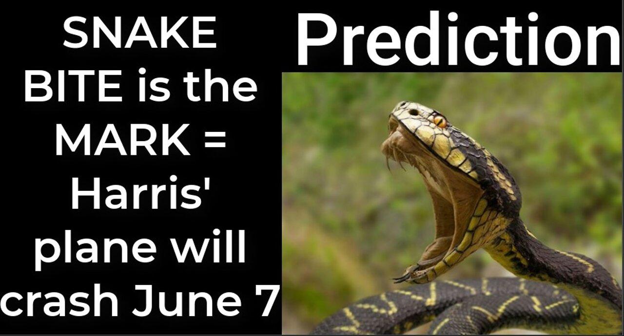 Prediction - SNAKE BITE prophecy = Harris' plane will crash June 7
