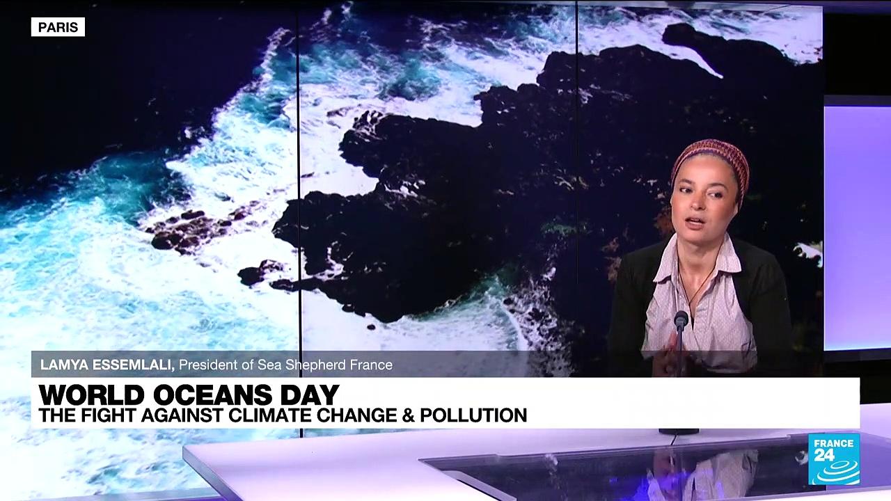 World Oceans Day 2022: The fight against climate change & pollution