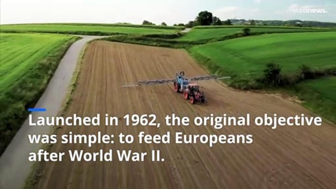 Watch: What has the Common Agricultural Policy brought to the EU?