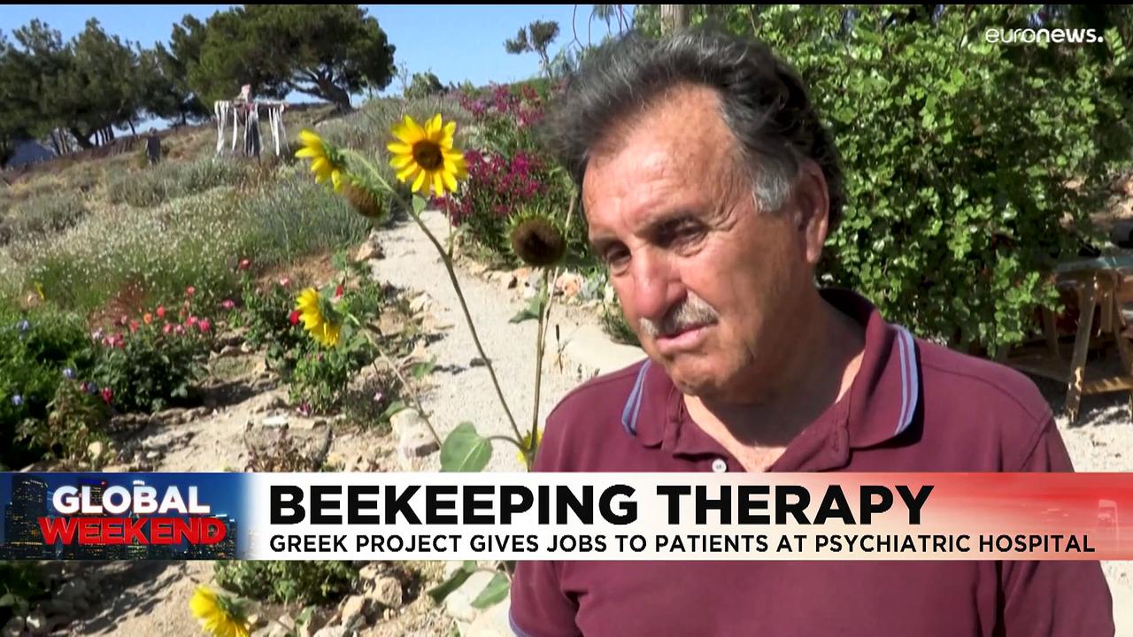 'Soul relief': On Greek island, bees help people with mental health issues