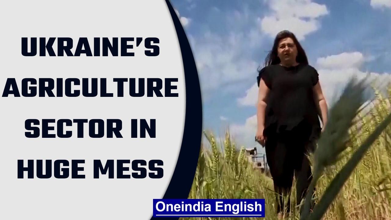 War in Ukraine has left the countries agriculture sector in a huge mess | Oneindia News *News