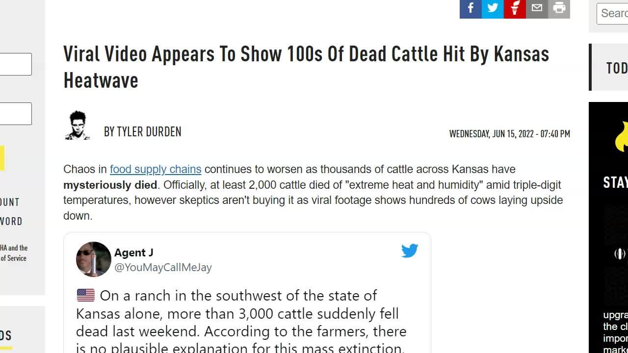 Wow! Thousands of Dead Cattle in Kansas - Was It The Heat?