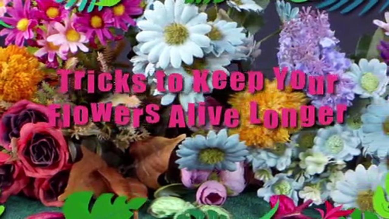 Tricks to Keep Your Flowers Alive Longer