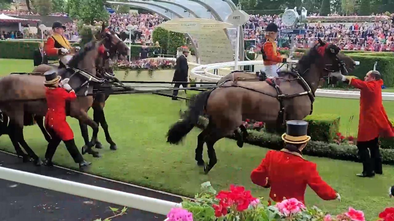 Horse pulling Princess Beatrice's carriage at Royal Ascot gets 'spooked'