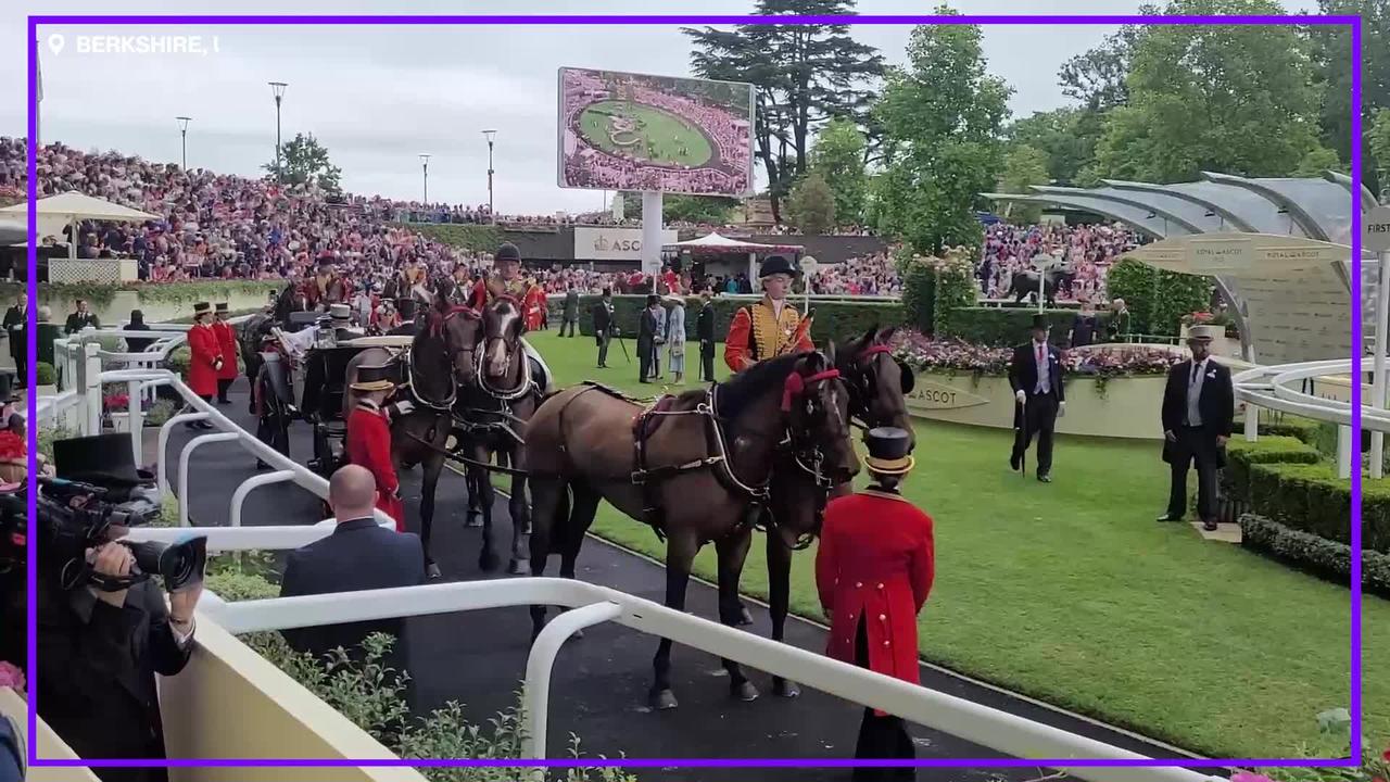 Dramatic moment horse pulling Princess Beatrice's carriage into Royal Ascot gets spooked