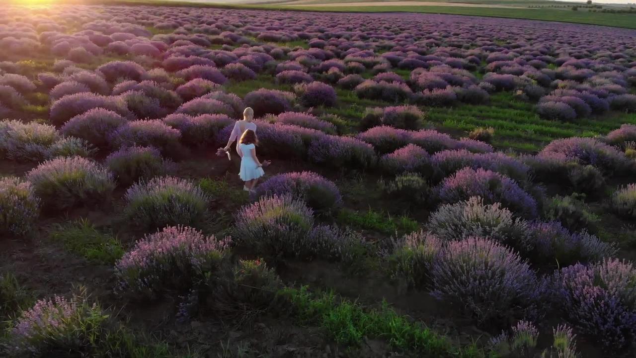 Flower field the worlds largest mom and daughter walk through the beautiful sunset flower field❤️🌺🌟