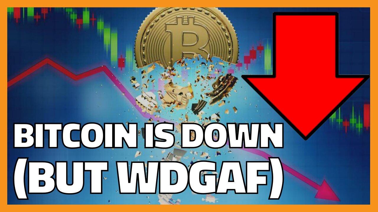 Bitcoin is Down (But WDGAF)