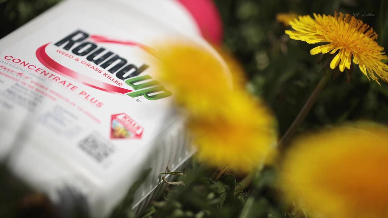 Court Rejects EPA Finding That Widely Used Weed Killer Does Not Cause Cancer
