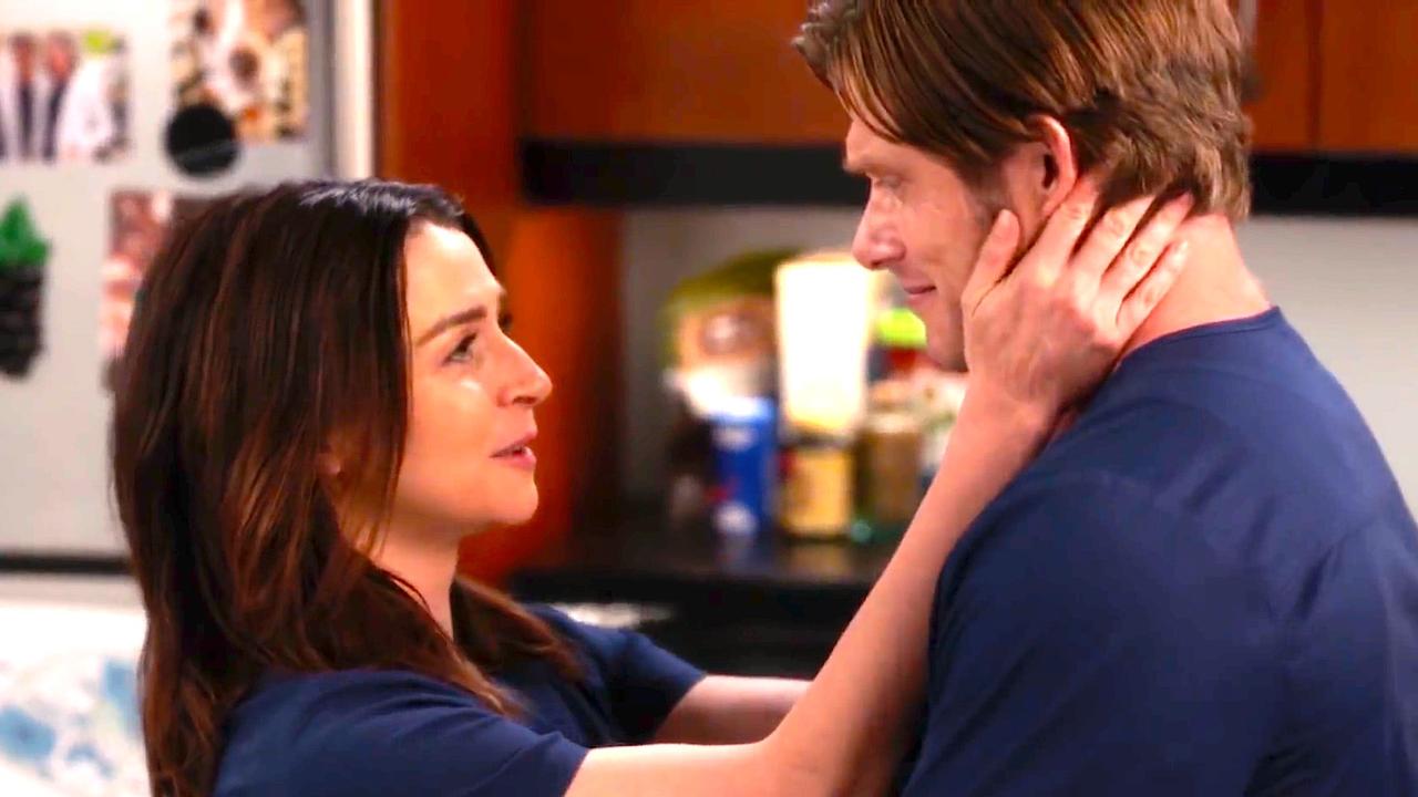 ABC’s Grey’s Anatomy Season 17 | Link Proposes to Amelia