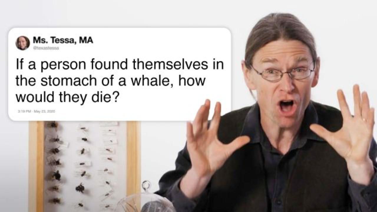 Biologist Answers Even More Biology Questions From Twitter