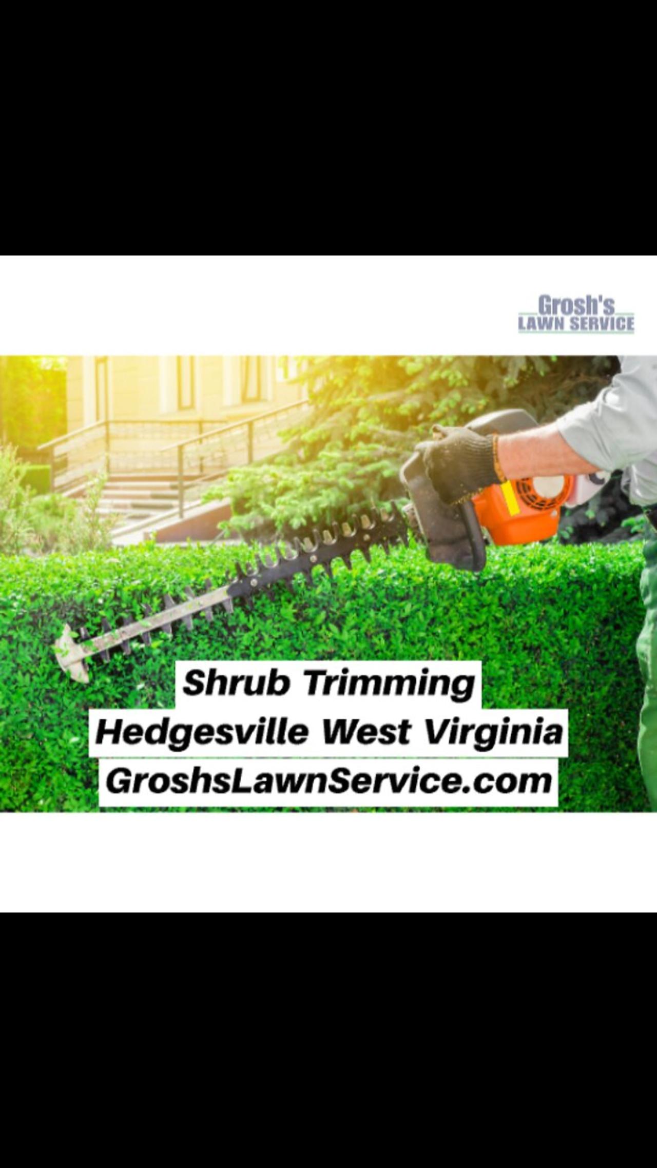 Shrub Trimming Hedgesville West Virginia Landscape Company