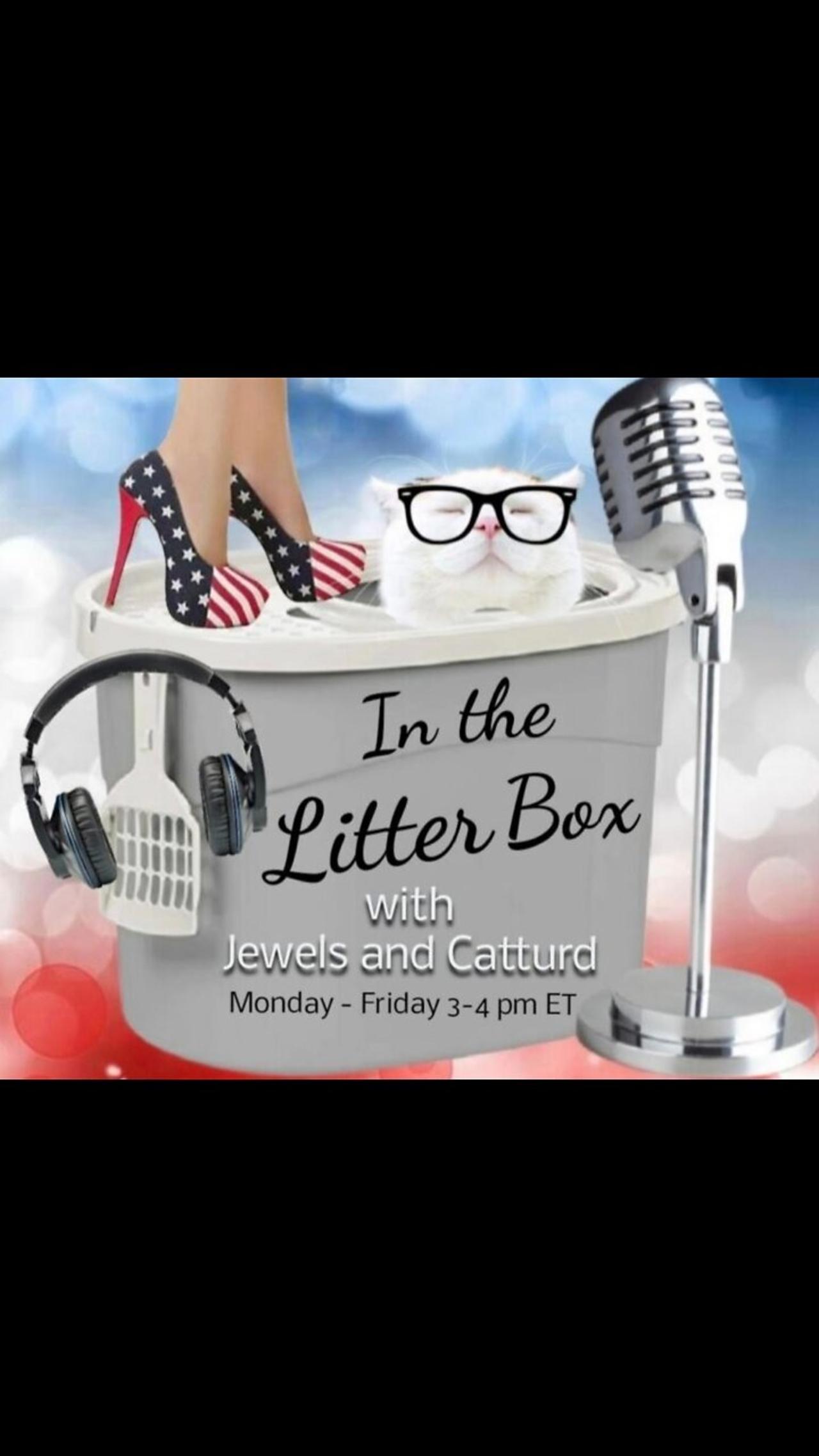 Cassidy Amber Heard Hutchinson - In the Litter Box w/ Jewels & Catturd 6/29/2022 - Ep. 115