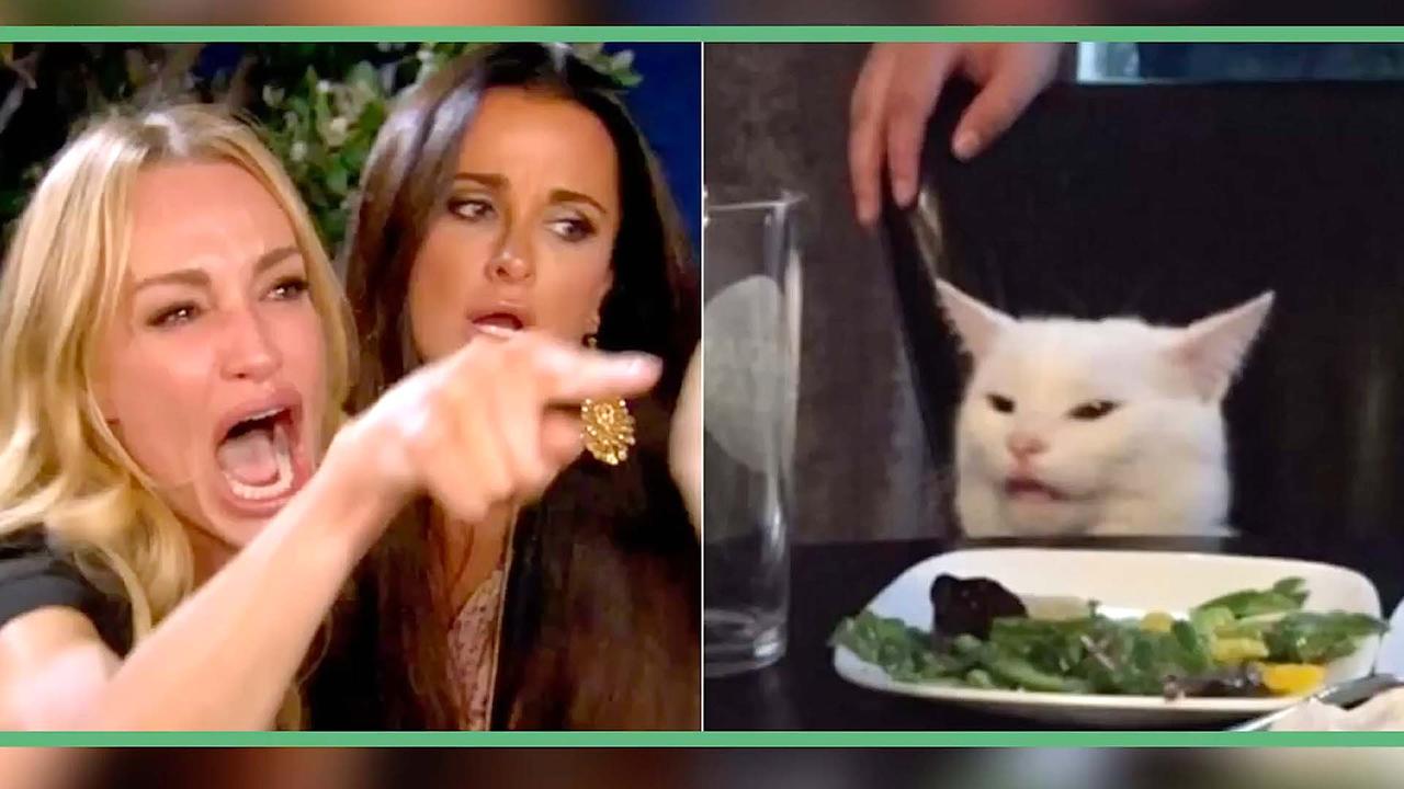 The Real Housewives Ultimate Girls Trip on Peacock | Cat Meme