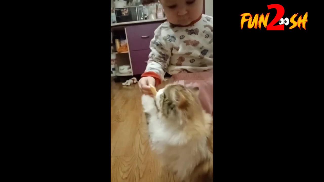Cuty baby & cats