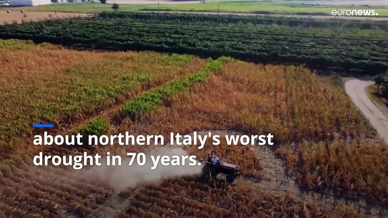 Italy's River Po drought: Farmer's field art implores Italians to conserve water