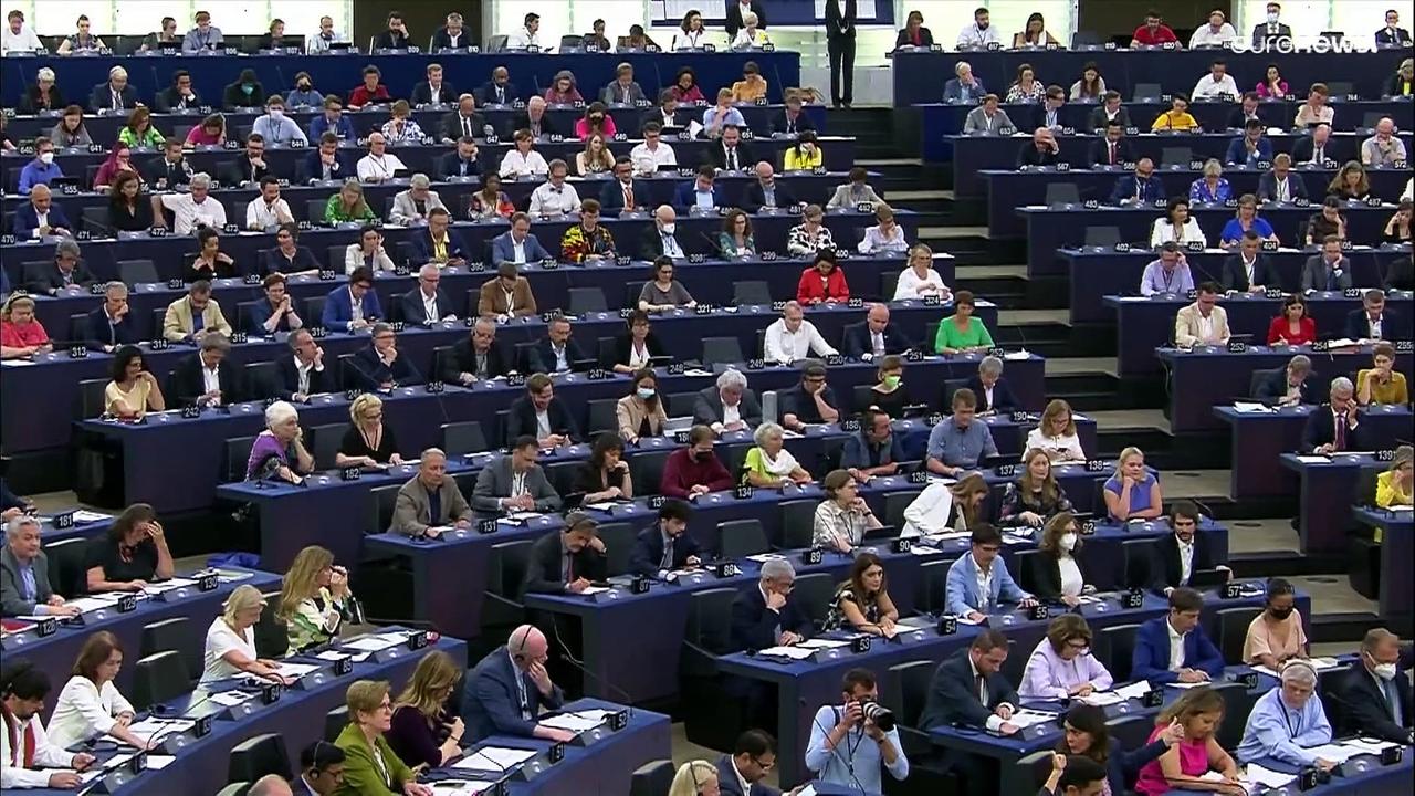 MEPs back controversial EU plan to label nuclear and gas investments as 'green'