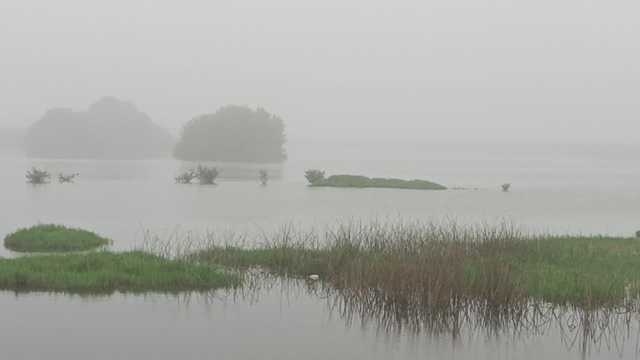 Stunning views of the lake in foggy weather