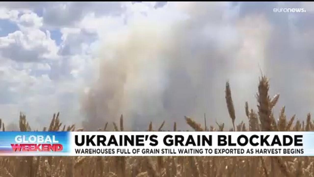 Ukraine war: Anxiety grows for grain farmers as harvest begins amid Russian blockade