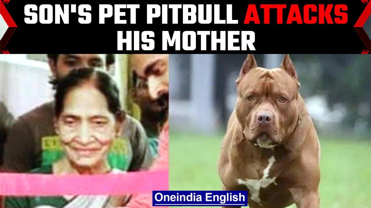 Lucknow pitbull attack: 82-year-old teacher mulled to death by son's dog | Oneindia news *News
