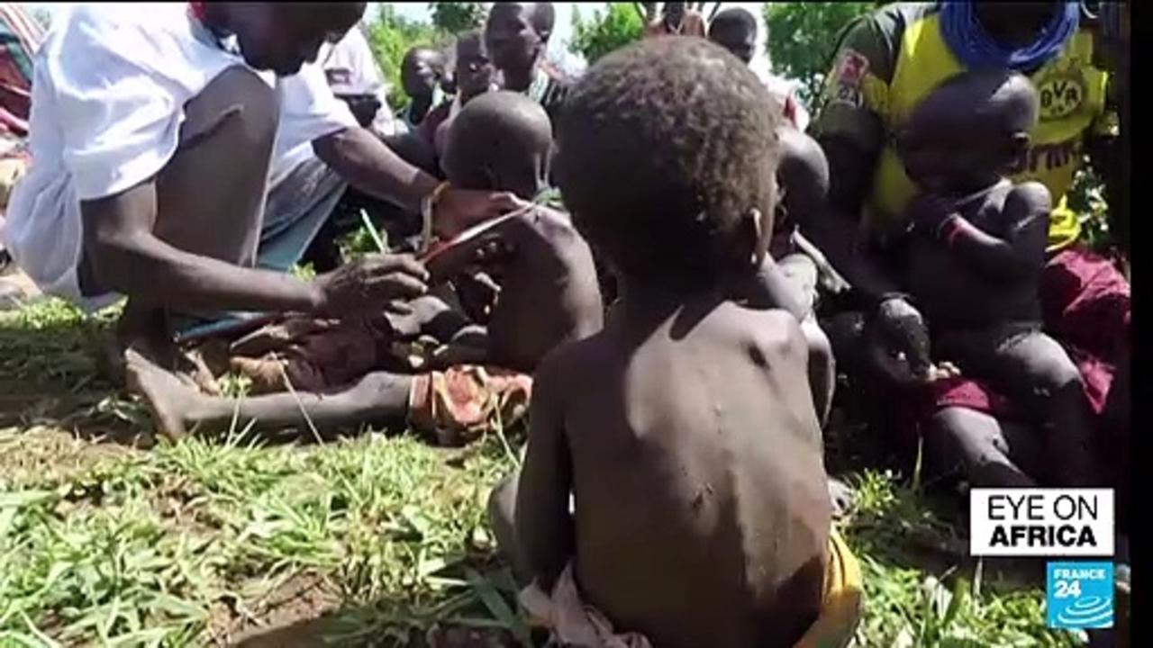 More than 200 people die as drought ravages northeast Uganda