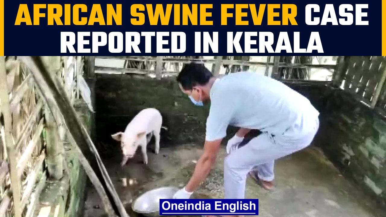 African Swine Fever case reported in Kerala, a week after Assam and UP reported cases| Oneindia News