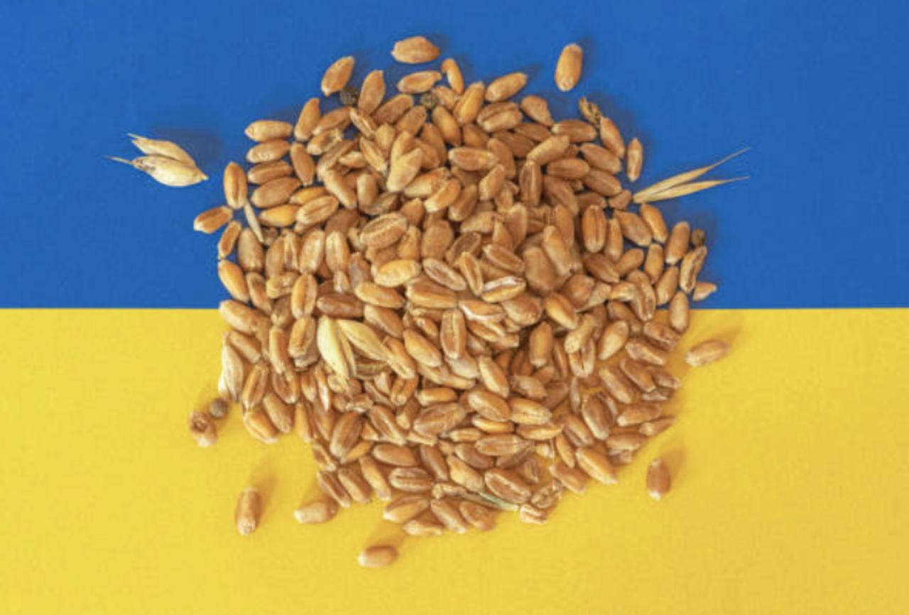 Russia and Ukraine Reach a Deal on Grain Distribution