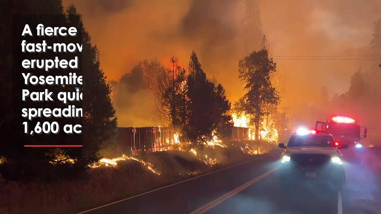Emergency Declared Over Wildfire Near Yosemite