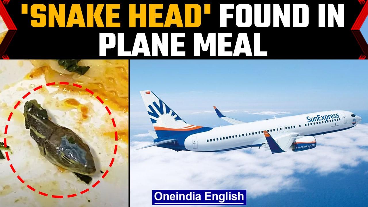 Snake head found in SunExpress flight meal, Airline launches investigation | Oneindia News *news