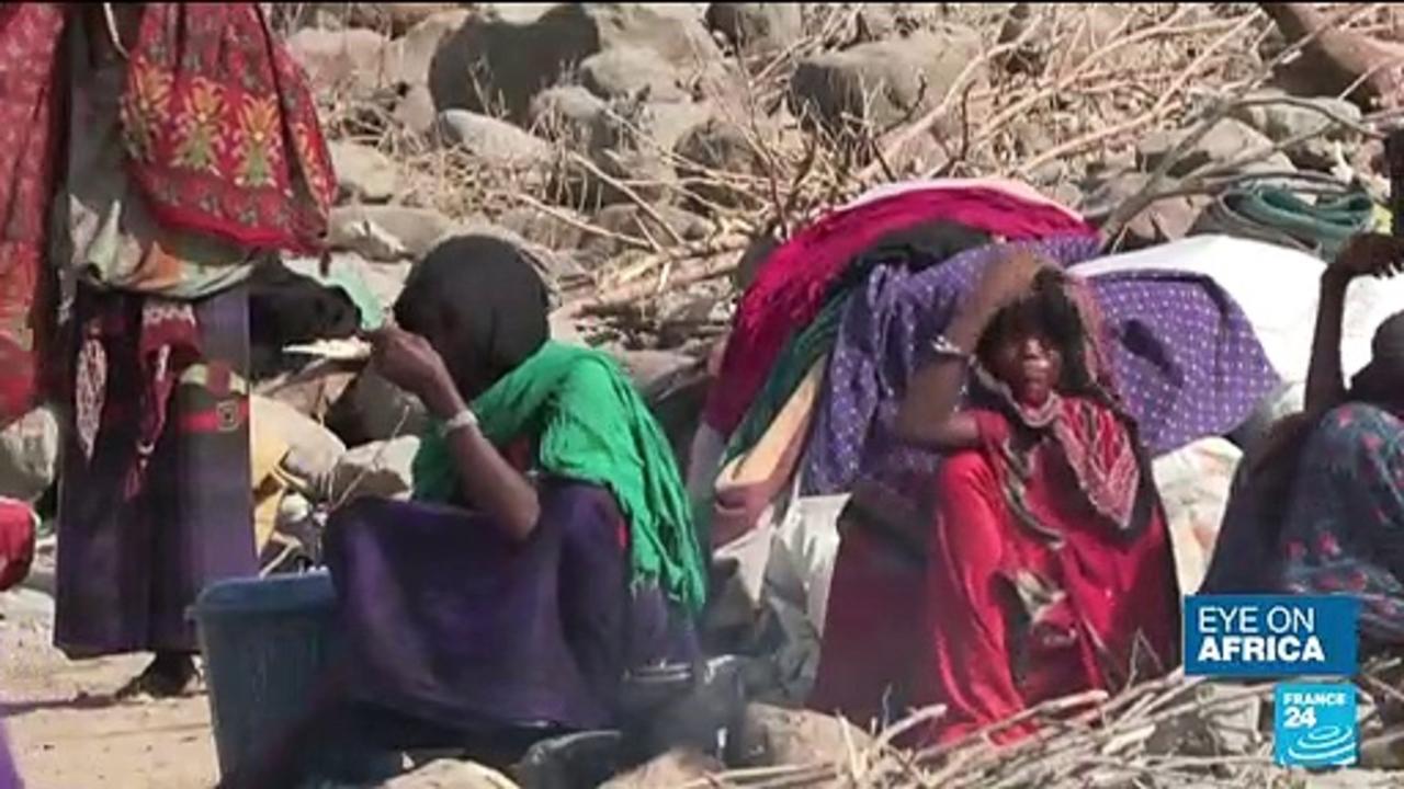 'We are also starving' : Ethiopia's Afar region pleads for aid