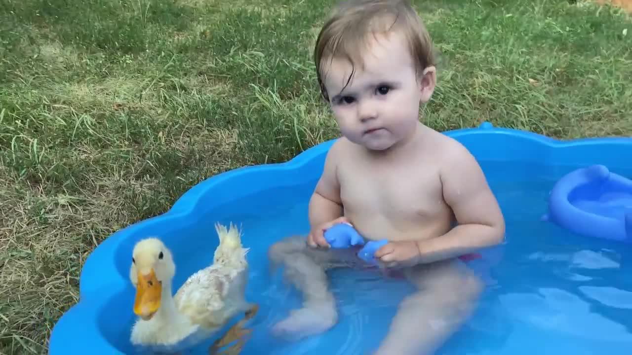 Funny Baby Reaction to Duckling in the Pool ( Cute Baby & Duck )