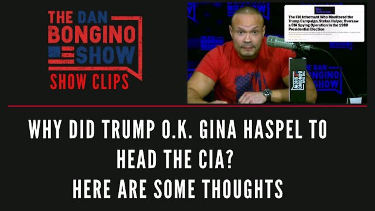 Dan Bongino: Why Did Trump O.K. Gina Haspel To Head The CIA? Here Are Some Thoughts