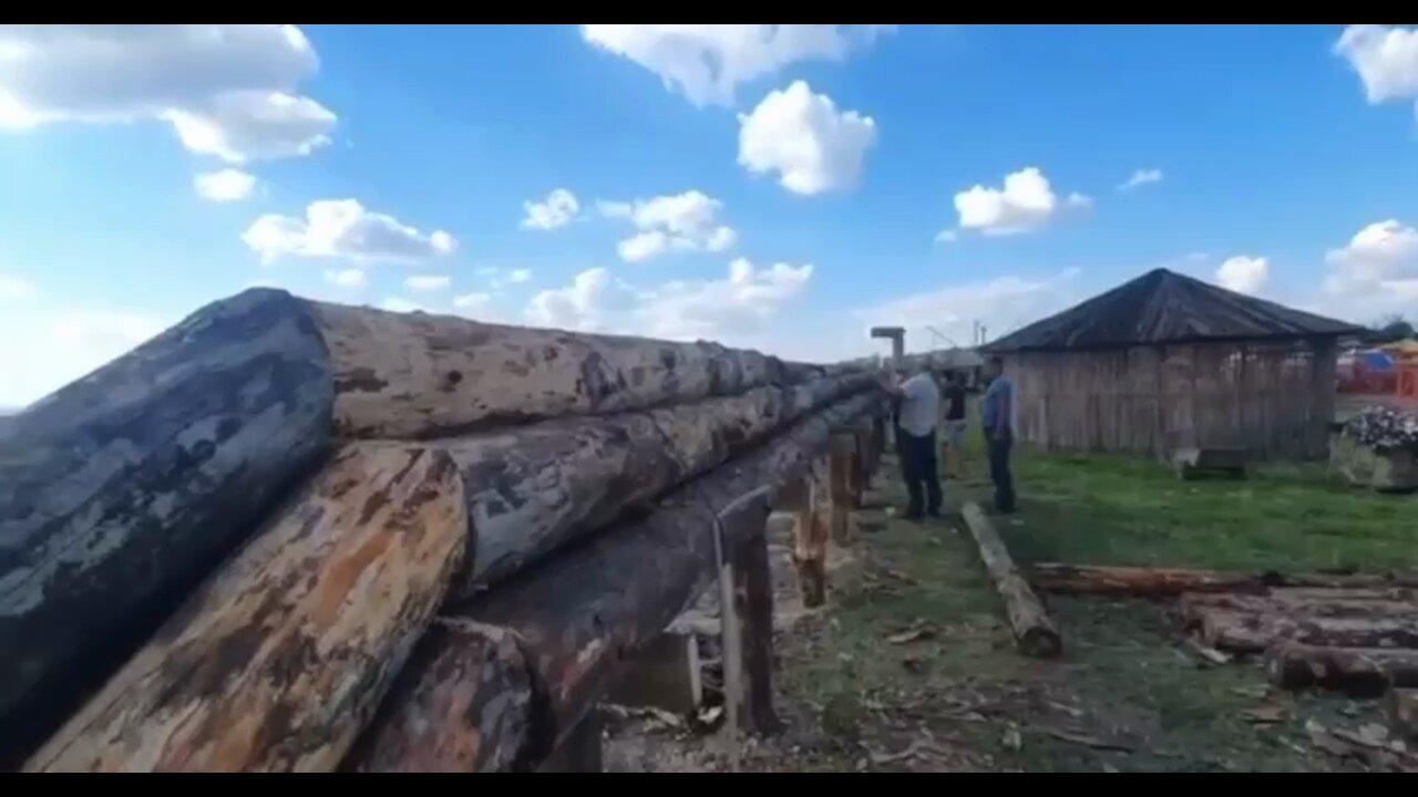 Timber Stream III to keep Europeans warm this winter thanks to farmers in Stavropol, Russia