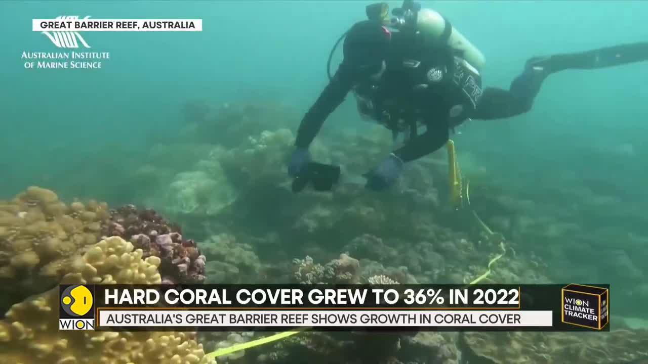 Climate Tracker: Australia's great barrier reef shows growth in coral cover