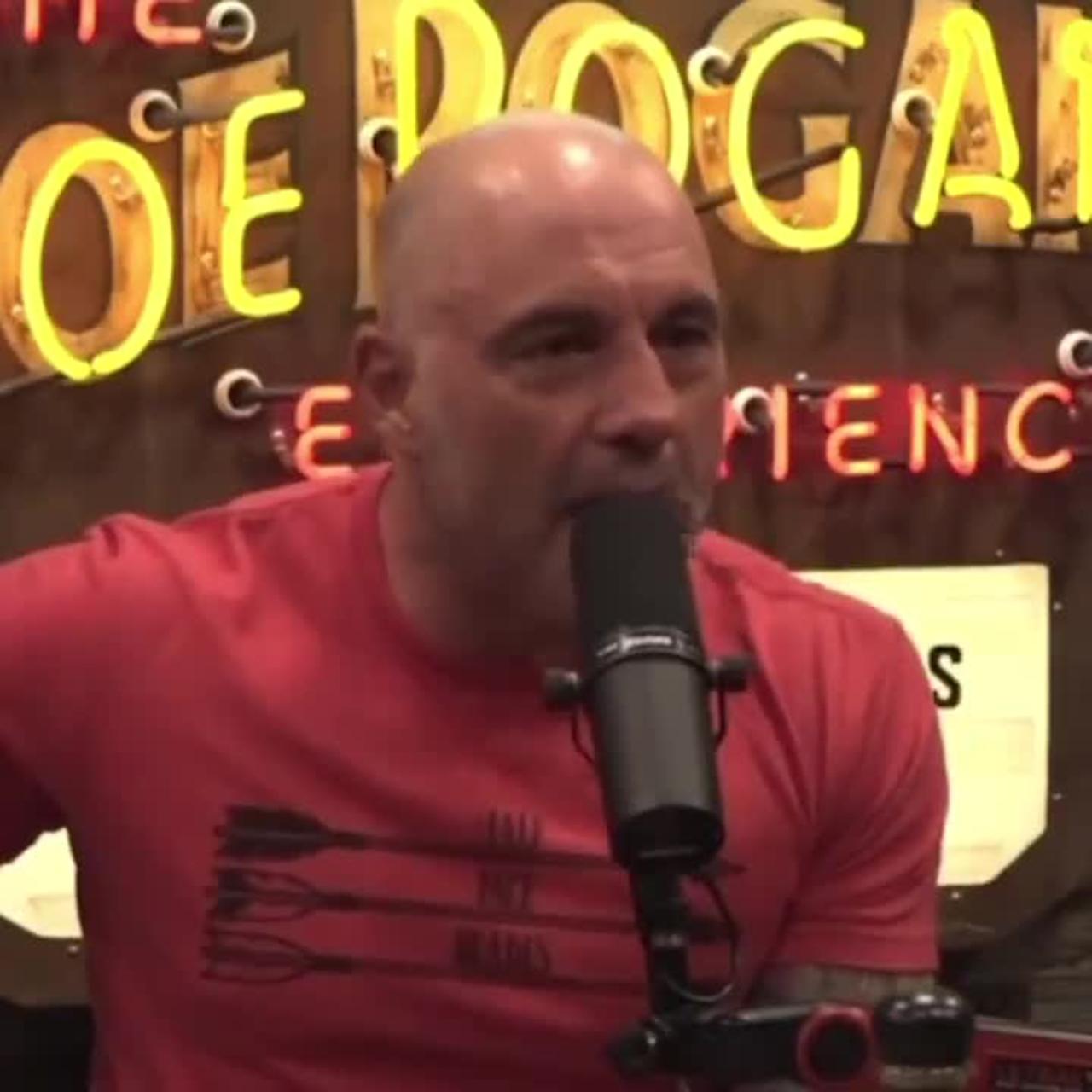 Joe Rogan has Some Words About the Brittney Griner Situation