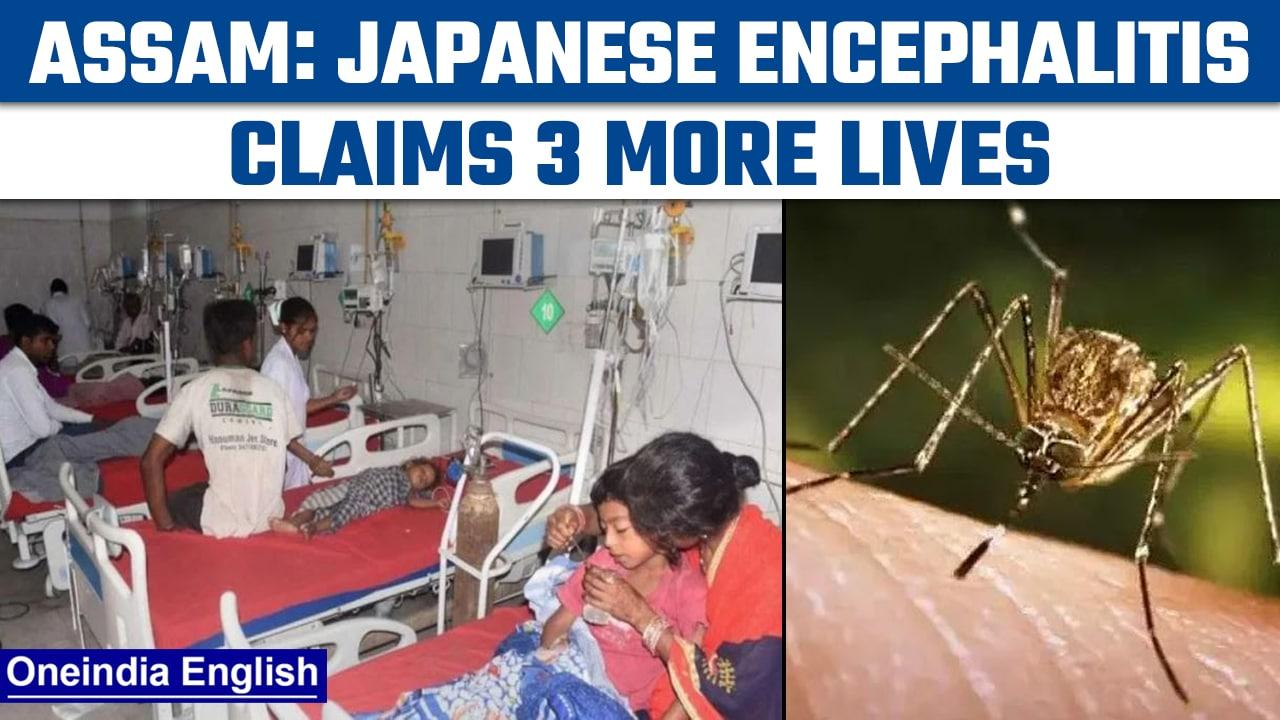 Assam: Japanese Encephalitis causes 3 more deaths; death toll rises to 60 | Oneindia News*News