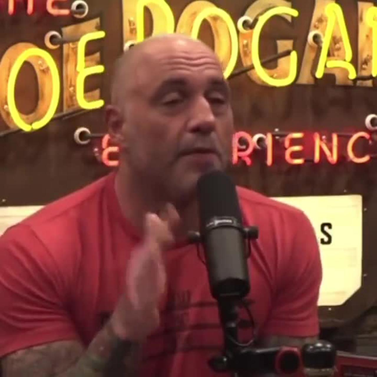Joe Rogan has some words about the Brittney Griner situation