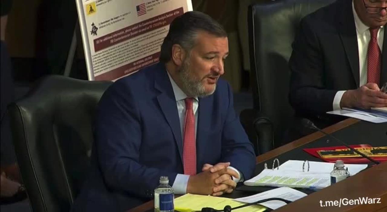 Sen. Cruz Confronts FBI Director Wray about Governor Whitmer Kidnapping Plot & FBI Entrapment
