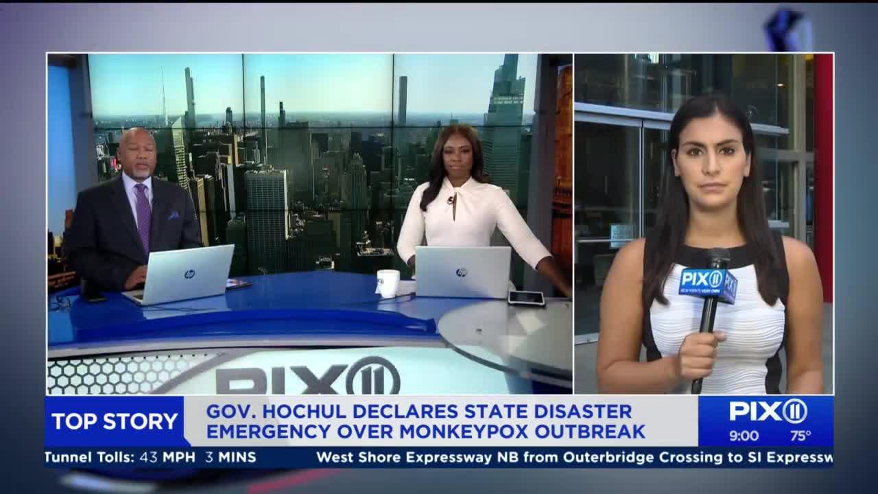 NY Gov. Hochul declares state disaster emergency over monkeypox outbreak