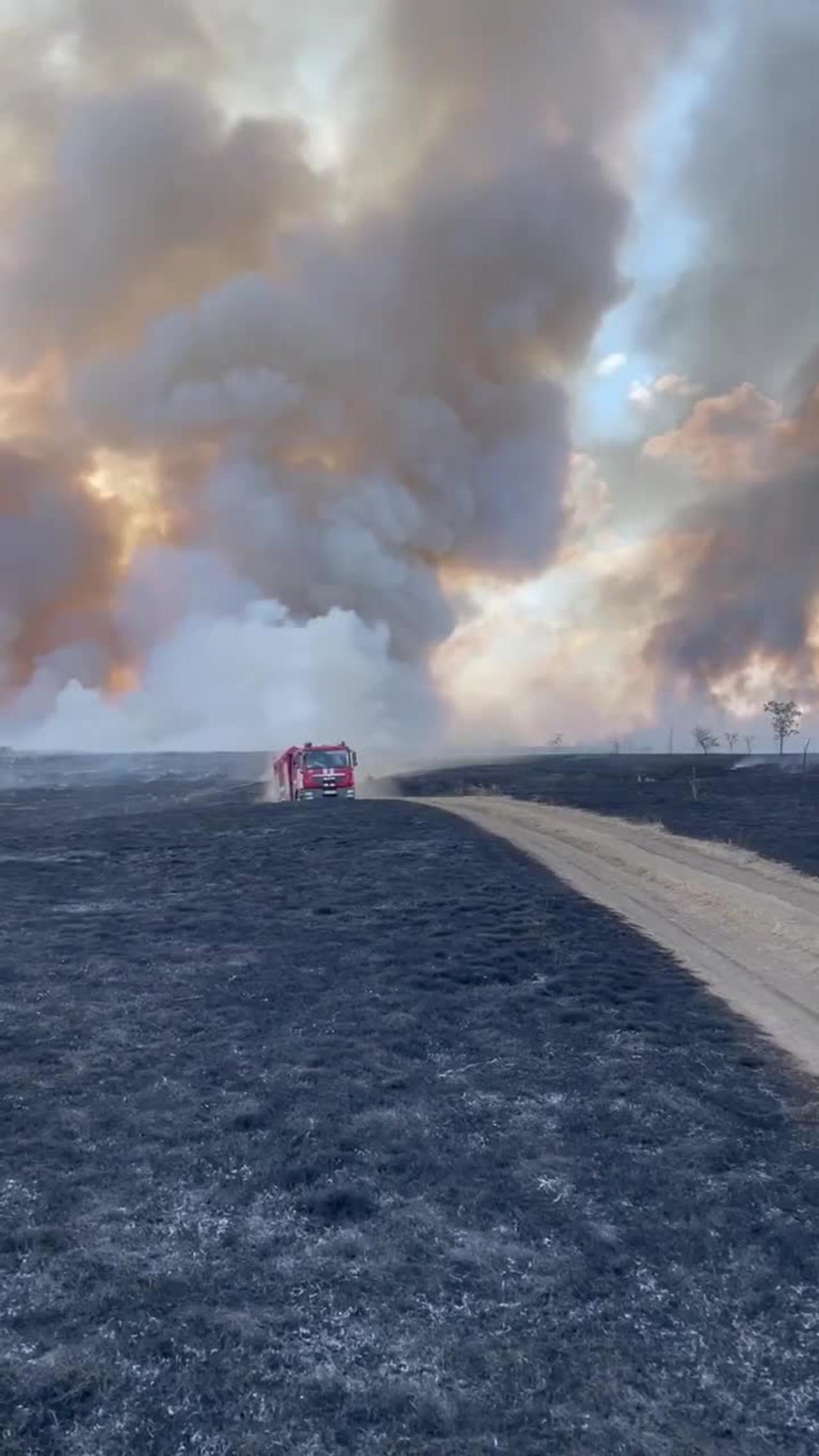 Ukrainians claimed that 350,000 hectares of fields burned out due to Russia ?