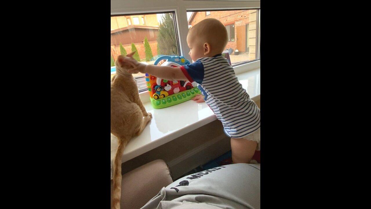 Cute Baby Playing With Pet Cat
