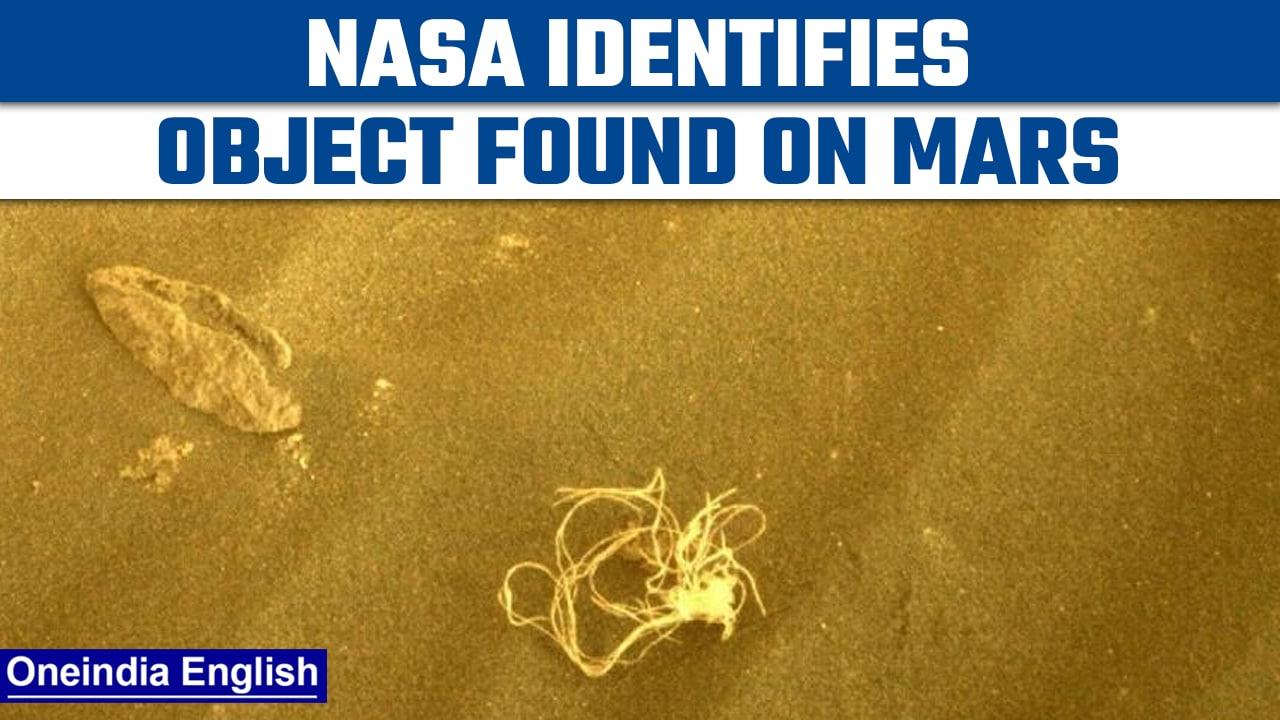 NASA identifies noodle-like object found on Mars | OneIndia News *News